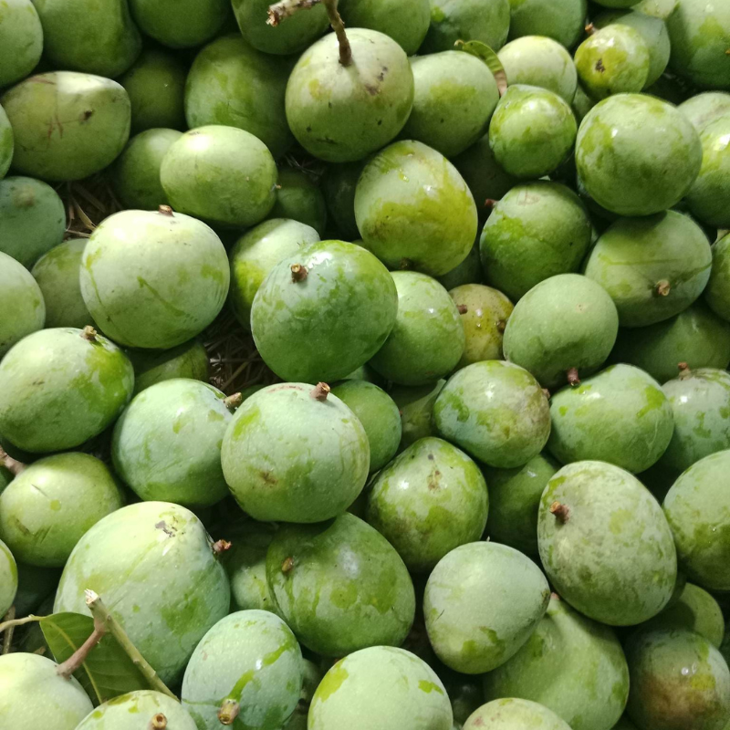 গোপালভোগ আম